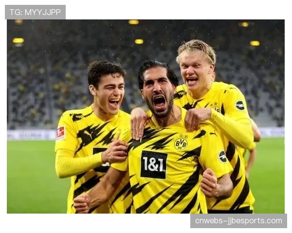 土耳其裔球星在柏林联进球后，看台上挥舞的大面积土耳其国旗与德国国旗交织